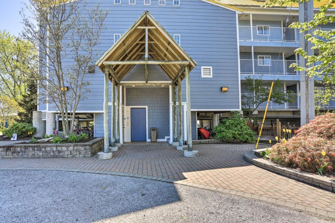 Waterfront Middle Bass Condo With Pool Access! Put-in-Bay Exterior photo